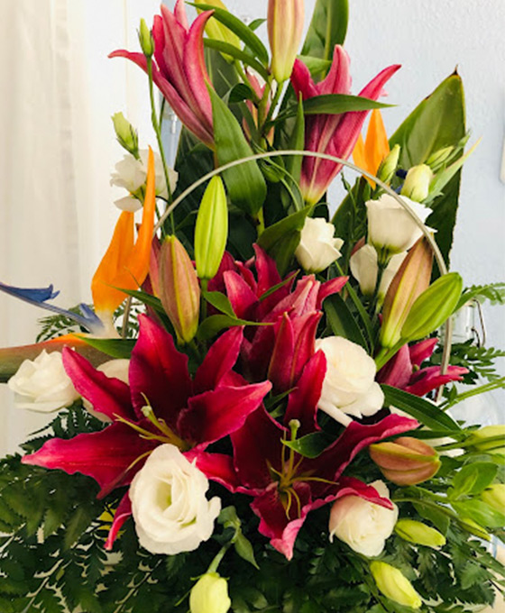 Liliums para Regalar