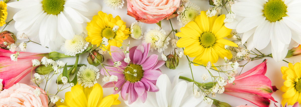 Arreglos florales Granada